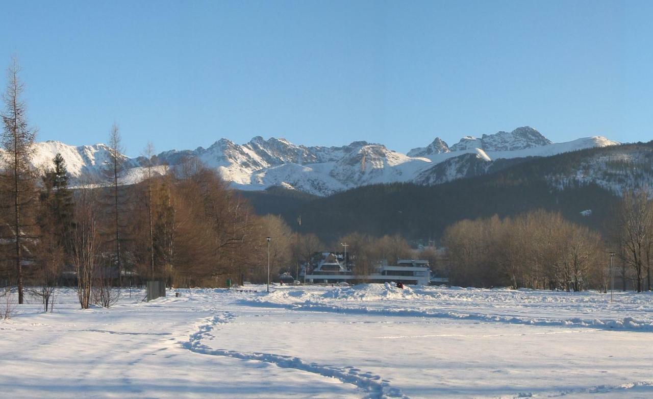 Pokoje Goscinne Trebunia Zakopane Ngoại thất bức ảnh